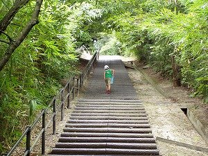 今治市 藤原事務所への道